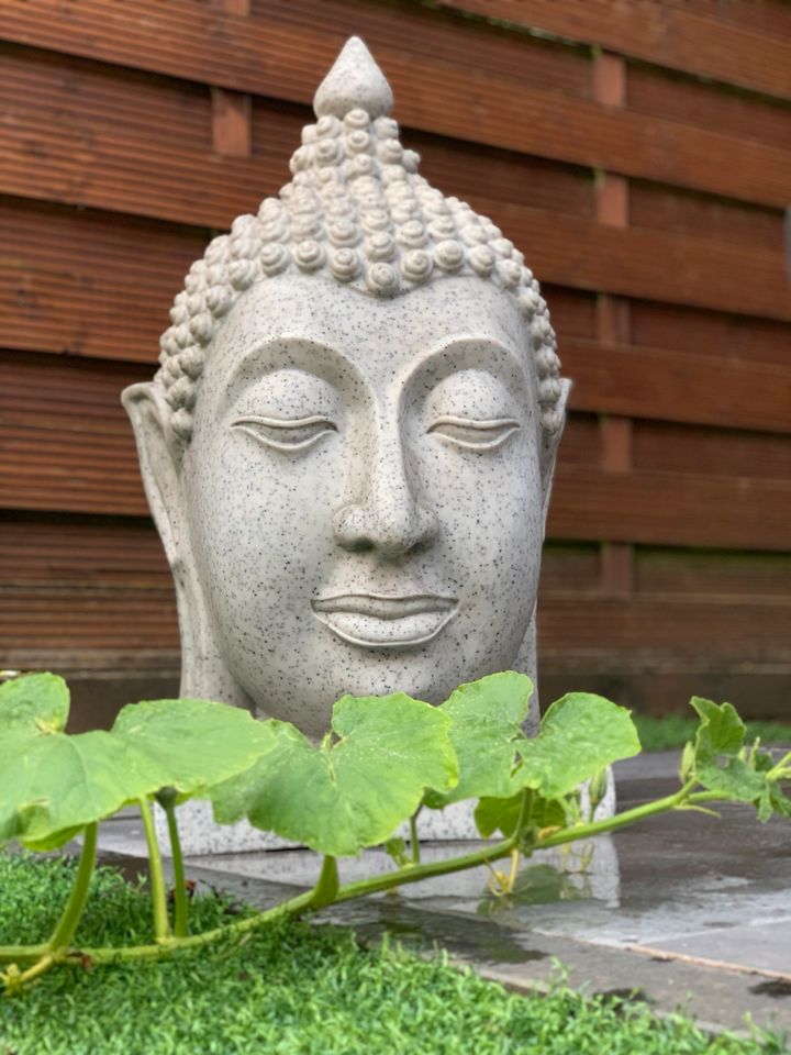 Gärtner Gartenhelfer Gartenpflege Hofpflege Reinigung in Osnabrück