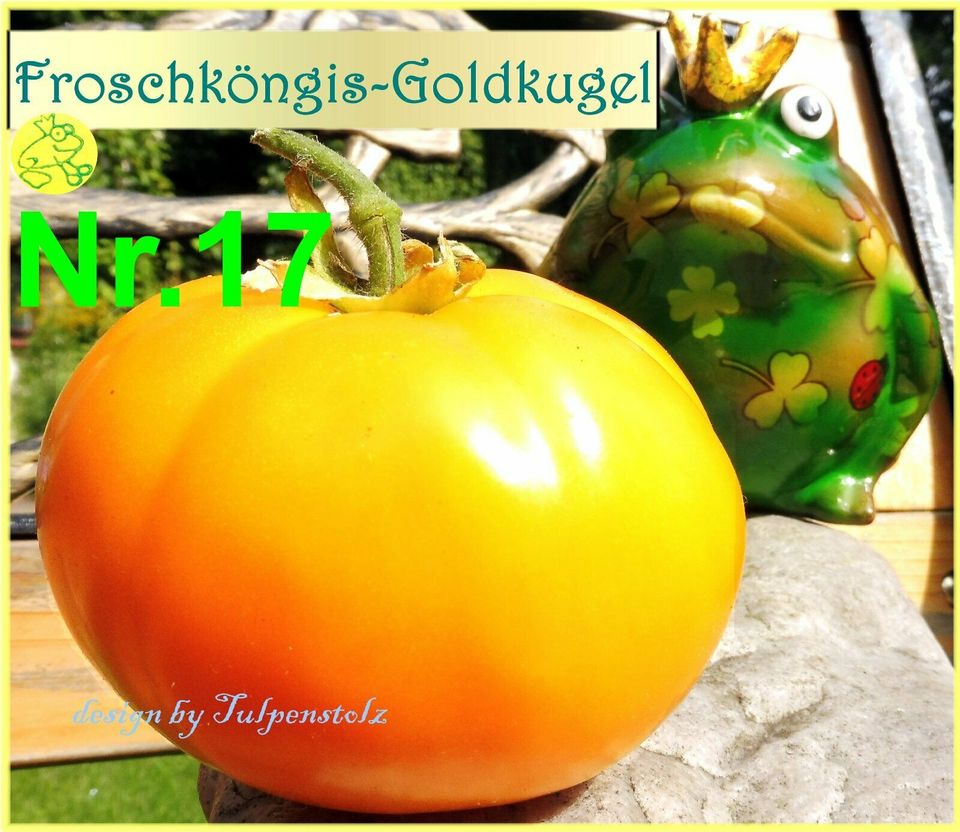 ♥ BIO Alte Sorte Tomaten FROSCHKÖNIGS GOLDKUGEL,Samen,Garten,Rari in Hamburg