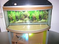 Aquarium groß m. Unterschrank, viel Zubehör 199.- EUR  sehr gepf) Dresden - Trachau Vorschau