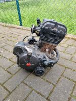 Aprilia SX125 Motor Niedersachsen - Bad Essen Vorschau