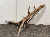 Ghost Driftwood Holz Wurzeln Aquarium Aquascaping Nordrhein-Westfalen - Gladbeck Vorschau