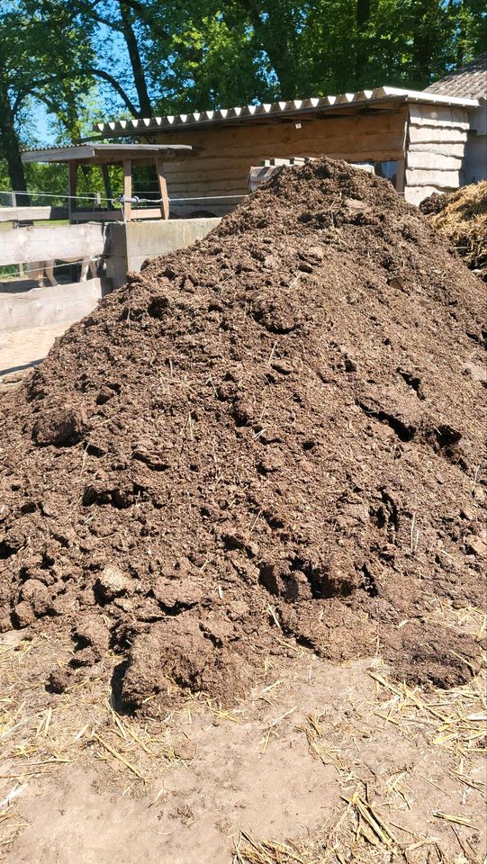 Waldboden einstreu Pferde in Stemwede