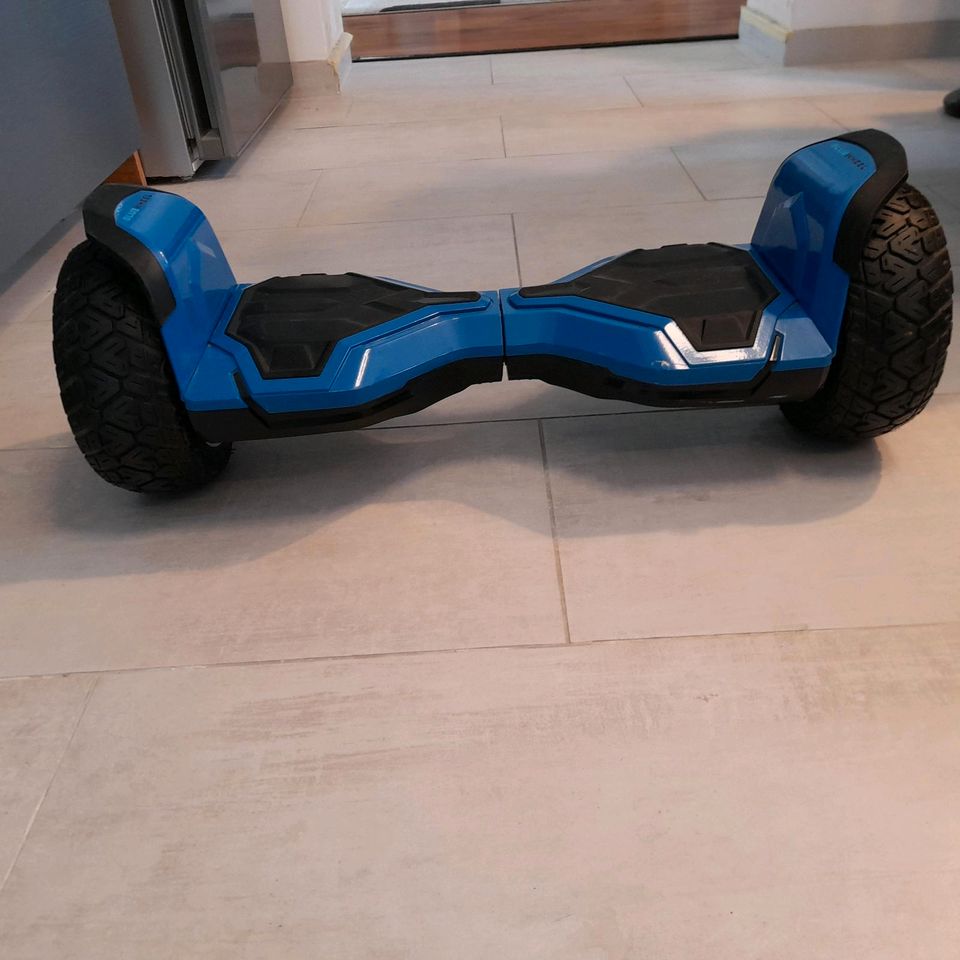 Hoverboard Bluewheel HX510 in Dinkelscherben