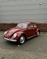 1958 beetle Nordrhein-Westfalen - Nettetal Vorschau