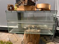 Hamster Nagarium/Terarium Nordrhein-Westfalen - Detmold Vorschau