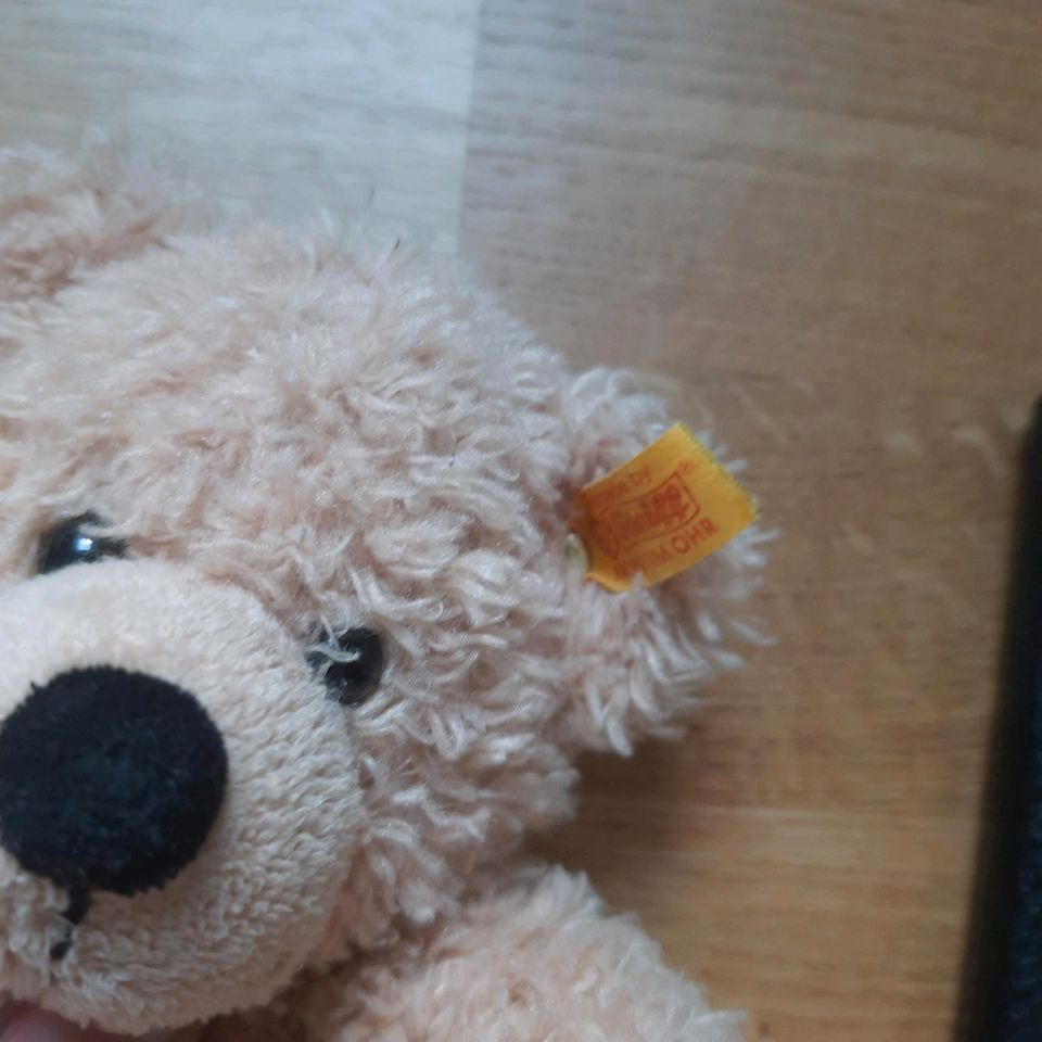 Steiff Teddybär Fynn neuwertig 28 cm in Volkmarsen