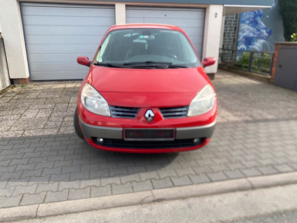 Renault scenic 1.9 in Frankfurt am Main