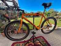 Cannondale M700 CAD2 - Rahmenhöhe 52cm Baden-Württemberg - Rust Vorschau