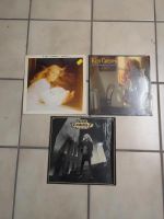 Kim Carnes Schalplatten Vinyl Sammlung Set Baden-Württemberg - Horb am Neckar Vorschau