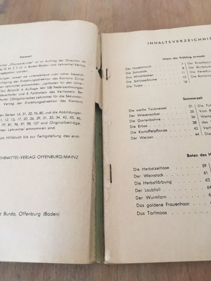 2x Lehrbuch der Erdkunde Europa Biologie Pflanzenkunde 1947 1948 in Pirmasens