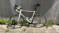 Rennrad Cube Peleton 62 cm Sachsen-Anhalt - Teuchern Vorschau