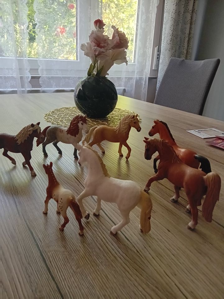 Schleich Pferde in Ludwigsburg