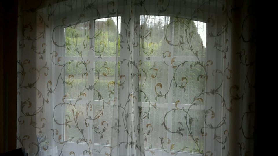 2! Vorhänge Gardinen Schals 245x140 cm weiß transparent Ranken in Siegen