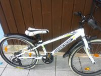 Kinderfahrrad 24 Zoll von Bergsteiger Versand möglich Bayern - Buxheim Vorschau