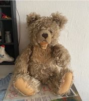 Vintage teddy Vintage-Teddybär Berlin - Neukölln Vorschau