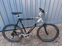 Fahrrad Cycle Wolf blackfoot 26 Zoll Jungen oder Männer Bayern - Lichtenau Mittelfr Vorschau