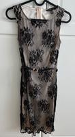 Cocktailkleid Mango XS, Creme mit schwarzer Spitze Hessen - Groß-Gerau Vorschau