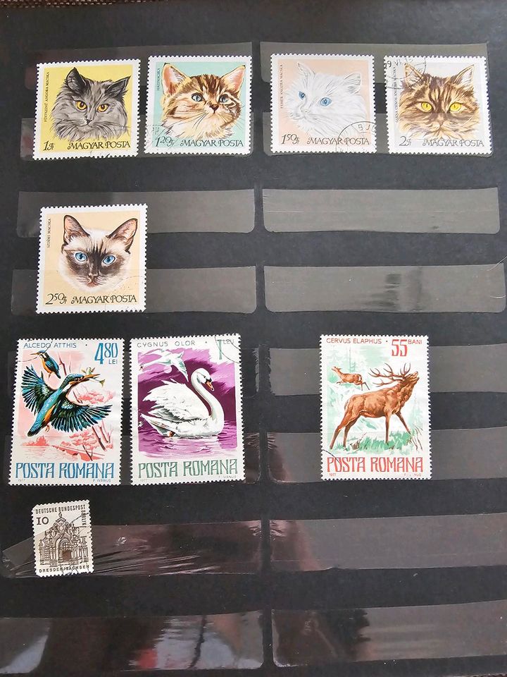 Seltene Briefmarkensammlung in Zossen-Waldstadt