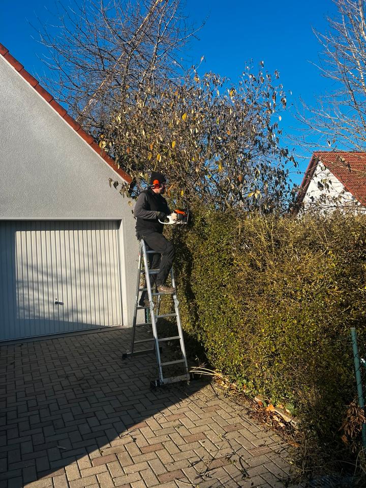 Zuverlässige Gartenpflege Rasenmähen, Hecken schneiden & mehr! in