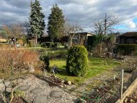 Forst: Wochenendgärtchen mit Gartenlaube Forst Lausitz Brandenburg - Forst (Lausitz) Vorschau