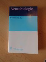 Neurobiologie - Heinrich Reichert Kiel - Gaarden Vorschau