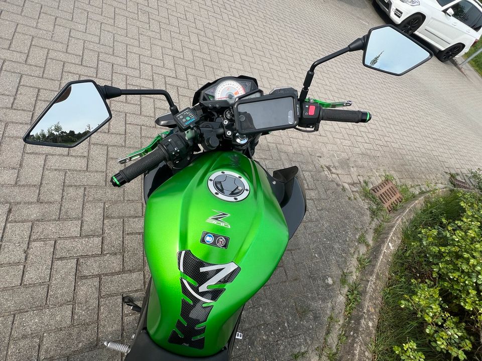 Kawasaki Z 300 ABS in Wildau