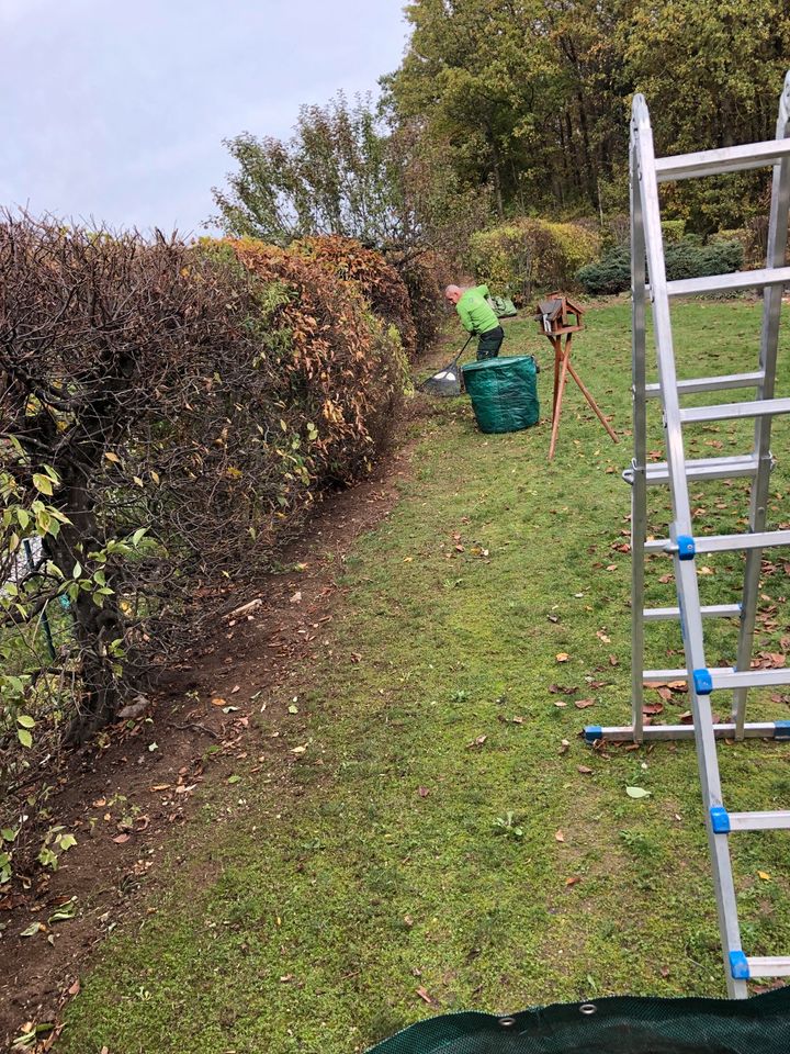 Gartenpflege, Heckenschneiden, Rasenmähen, unkrautentfernen in Krautheim