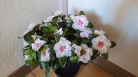 Azalee Kunstpflanze Höhe ca 40cm NEU weiß-rosa Blüten Frankfurt am Main - Sachsenhausen Vorschau