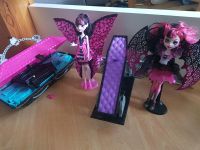 Monster high Puppen Kreis Pinneberg - Wedel Vorschau