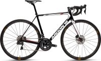 Argon 18 Gallium Ultegra DI2 L Kreis Pinneberg - Wedel Vorschau