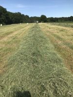 Heulage in Rundballen. Preise auf unserer Homepage www.luckylage. Niedersachsen - Müden Vorschau