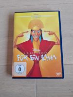 Ein Königreich für ein Lama - DVD Bayern - Augsburg Vorschau