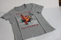T-Shirt, Hollister,  grau mit Druck, Gr. S Duisburg - Duisburg-Süd Vorschau