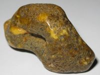 Bernstein - S o l i t ä r. ca.4,3 x 2,6 x 1,9  Baltic Amber.antik Baden-Württemberg - Hirschberg a.d. Bergstr. Vorschau