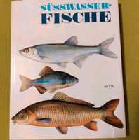 Süsswasser- Fische Angeln Sachbuch Artia/J. Holčík J. Mihálik Sachsen-Anhalt - Halle Vorschau