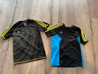 Adidas Shirts Predator F50 152 T-Shirt Bayern - Schongau Vorschau