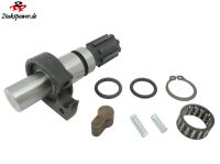 Kickstarter Welle Motor für Husqvarna SMR TC TE 350 410 570 610 Nordrhein-Westfalen - Sundern (Sauerland) Vorschau