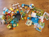 Diverses Babyspielzeug (Vtech tanzende Musikkugel etc) Rheinland-Pfalz - Minfeld Vorschau