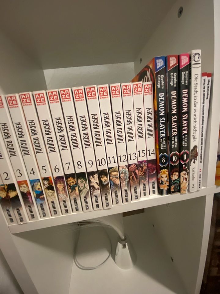 Mangas zu verkaufen in Zweibrücken