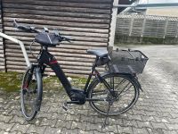 Pegasus Savona Evo 10 E-Bike Damen - Top Zustand, nur 3.300km Baden-Württemberg - Massenbachhausen Vorschau