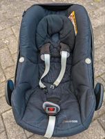 Maxi Cosi Pebble 2019 Babyschale Hessen - Eschborn Vorschau