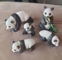 Schleich Panda-Familie m. 3 Babys + gratis 1 Panda v. McD Dithmarschen - Brunsbuettel Vorschau