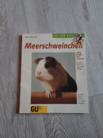 Meerschweinchenratgeber Berlin - Lichtenberg Vorschau