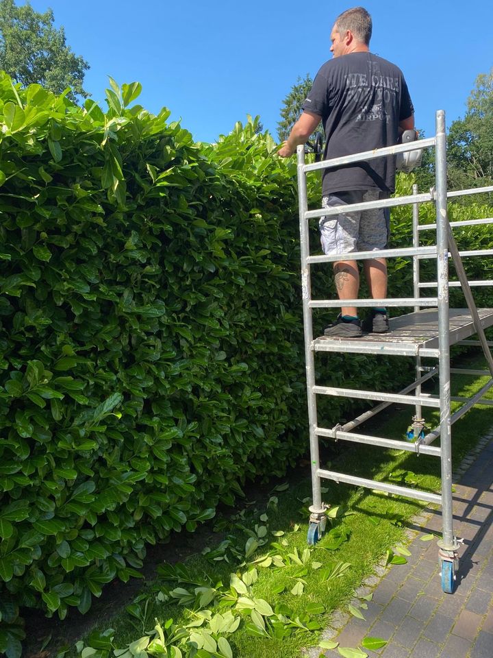 Zur Miete: Stihl Heckenschere & Rollgerüst in Buchholz in der Nordheide