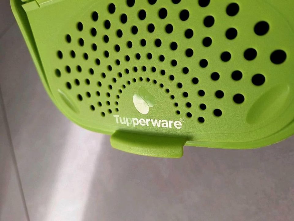 Tupperware Kartoffelbox in Kötz