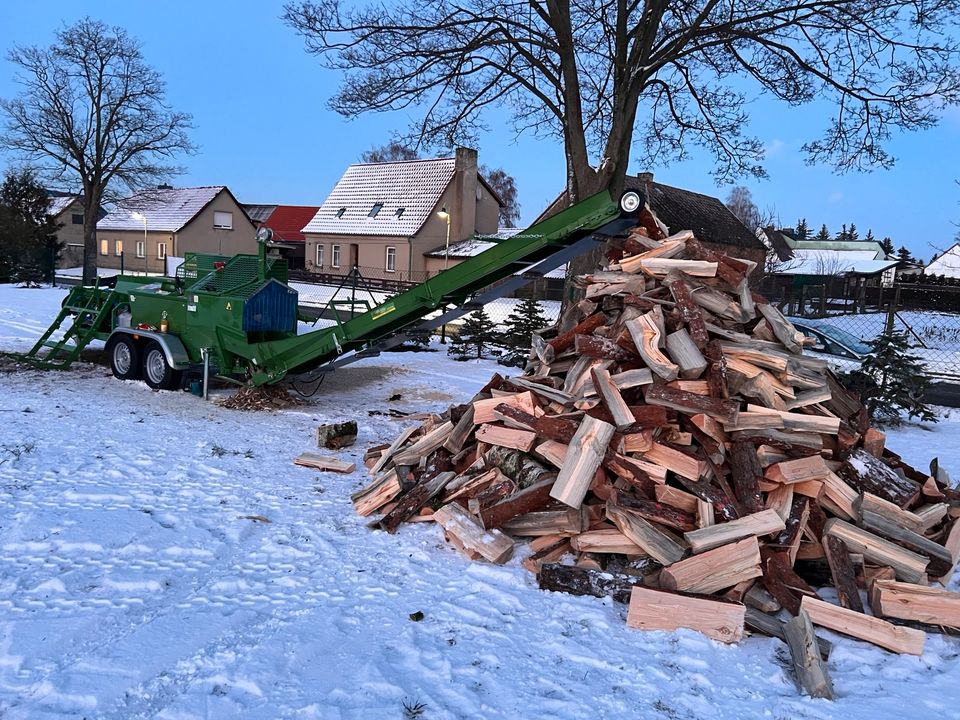 Holzspalten/Lohnspalten/Sägespaltautomat in Gardelegen  