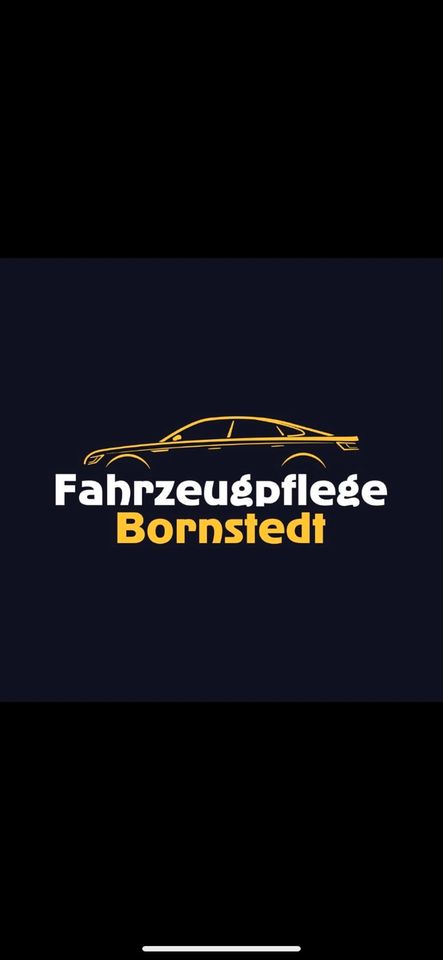 Fahrzeugpflege in Bornstedt