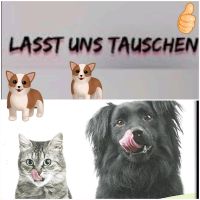 Wir suchen-ihr habt es-ihr sucht es -wir haben es  für Hund-Katze Nordrhein-Westfalen - Bönen Vorschau