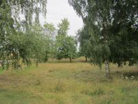 Grundstück in Bredentin auch für Landwirte und Gartenbauer nahe der Städte Güstrow und Rostock Mecklenburg-Vorpommern - Mühl Rosin Vorschau