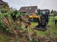 Hecke entfernen inkl. Entsorgung, Demontage, Baggerarbeiten usw. Niedersachsen - Zetel Vorschau